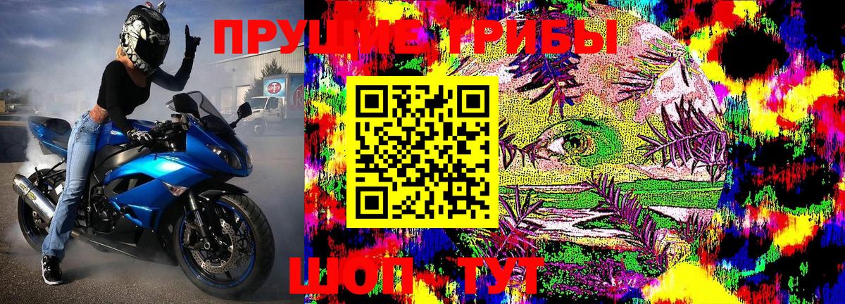 Псилоцибиновые грибы Psilocybe  Галлюциногенные грибы мицелий  Вход с VPN  Сургут 